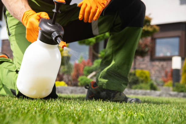Best Pest Prevention Services  in California, MO