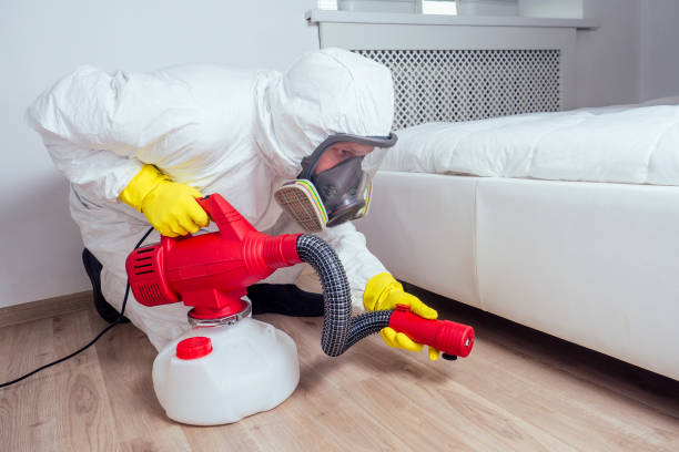 Pest Prevention Services in California, MO