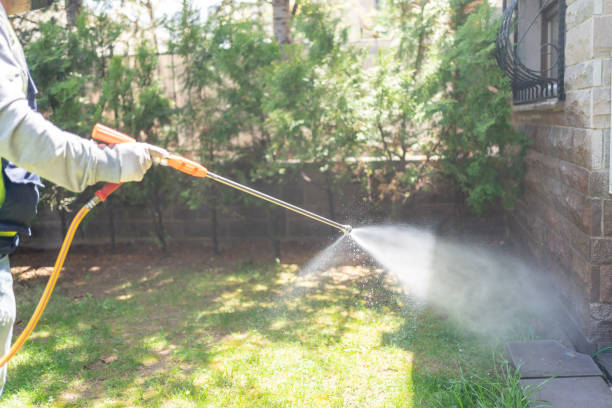 Best Bed Bug Extermination  in California, MO