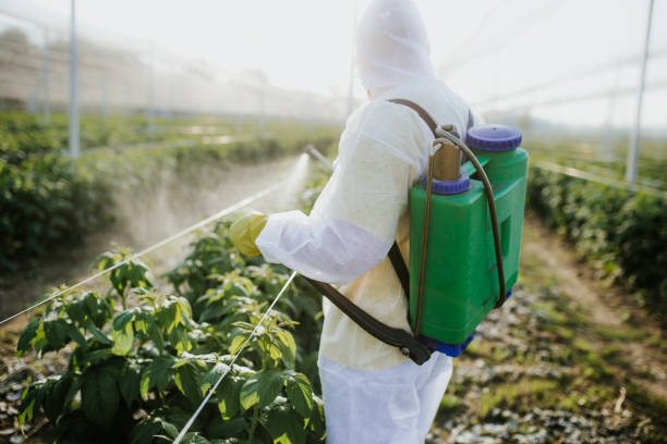 California, MO Pest Control Company
